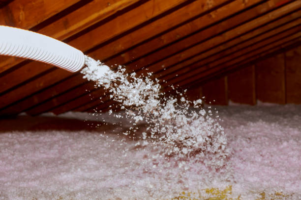 Best Spray Foam Insulation in Lake Kerr, FL