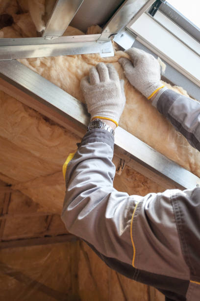Best Residential Insulation in Lake Kerr, FL