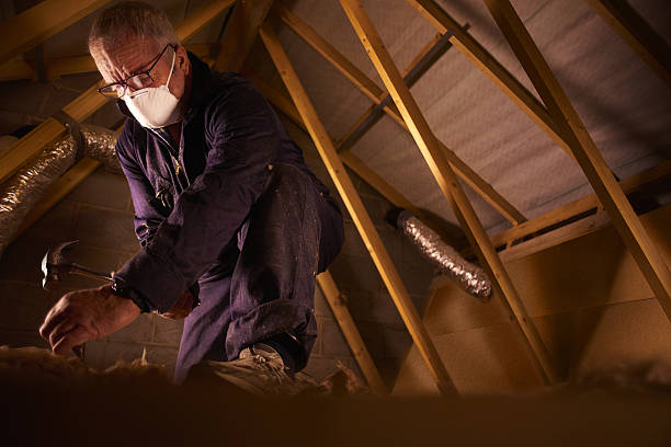 Best Cellulose Insulation in Lake Kerr, FL